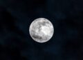 September Full Moon 2026: See the Harvest Moon