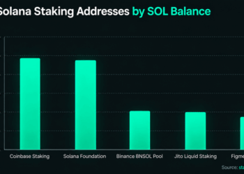 Inside Solana’s Staking Giants and the Mystery Whales With Billions