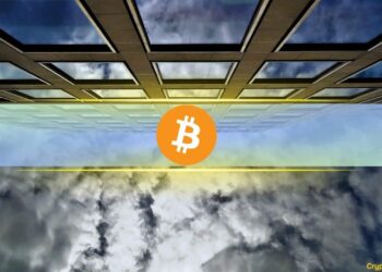 Institutions Watched Bitcoin Fall 50%: Yet None of 15 Bitwise Surveyed Investors Cut Exposure
