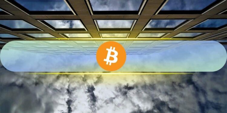 Institutions Watched Bitcoin Fall 50%: Yet None of 15 Bitwise Surveyed Investors Cut Exposure