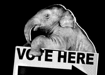 The White House Is Starting to Panic Over the Midterms