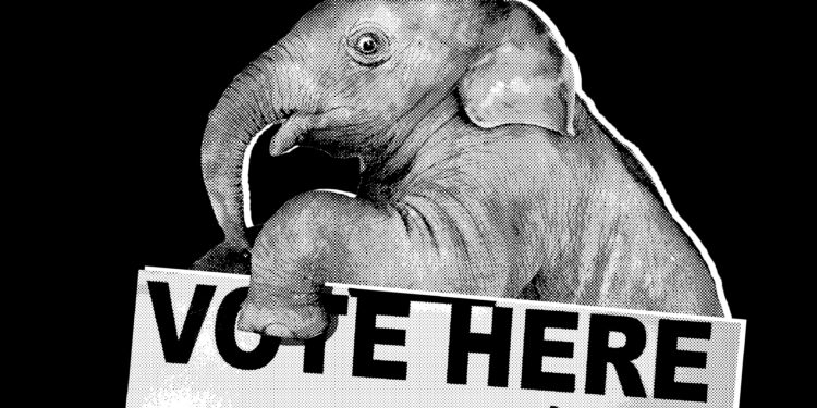 The White House Is Starting to Panic Over the Midterms