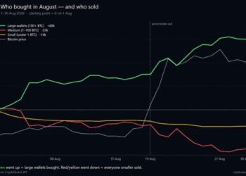 Cryptoquant: Bitcoin Price Rally Hid a 60,000 BTC Whale Buying Spree