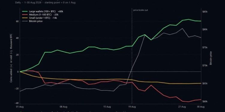 Cryptoquant: Bitcoin Price Rally Hid a 60,000 BTC Whale Buying Spree