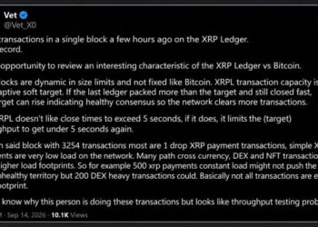 XRP Ledger Broke Its Transaction Record, and 20 Wallets Did Most of It