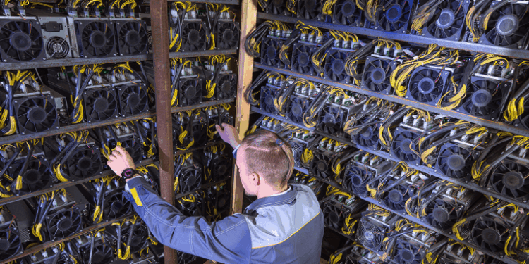 Zcash Price Spike Fuels Massive Mining Profits and Hashrate Boom