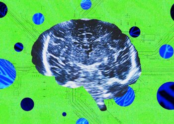 A New Neurotech Startup alternative Launches to Rival Sam Altman’s Merge Labs