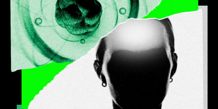 AI Came for Math. Now It’s Chasing the Rest of Science