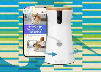 The Best Amazon Prime Day Pet Deals on Feeders, Litter Boxes, and More (2026)