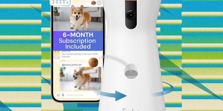 The Best Amazon Prime Day Pet Deals on Feeders, Litter Boxes, and More (2026)