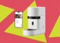 These 12 Automatic Cat Feeders Were the Best We Tested in 2026