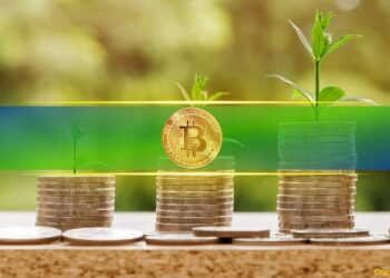 Bitcoin Profitability Nears 2022 Lows as BTC Price Slumps Below $82K: Analyst