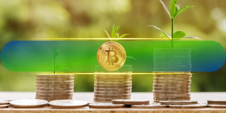 Bitcoin Profitability Nears 2022 Lows as BTC Price Slumps Below $82K: Analyst