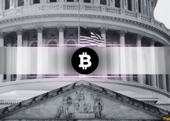 US Is Importing Bitcoin and Exporting Digital Dollars: What Does it Mean?