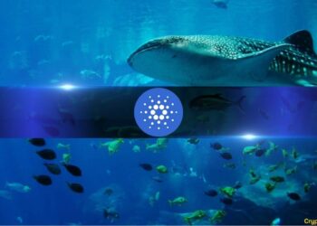 Cardano Under Pressure: Falling Network Activity Adds to ADA Selling Concerns
