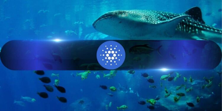 Cardano Under Pressure: Falling Network Activity Adds to ADA Selling Concerns