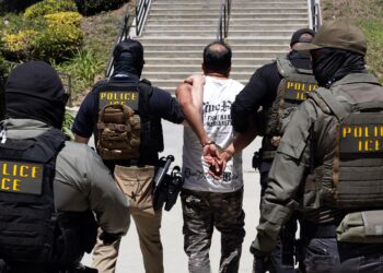 ICE Emails Discuss Using Palantir-Supported Tool to Investigate Voter Fraud
