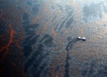 Oil Spills Wreak Havoc on the Bottom of the Ocean, Even a Decade Later