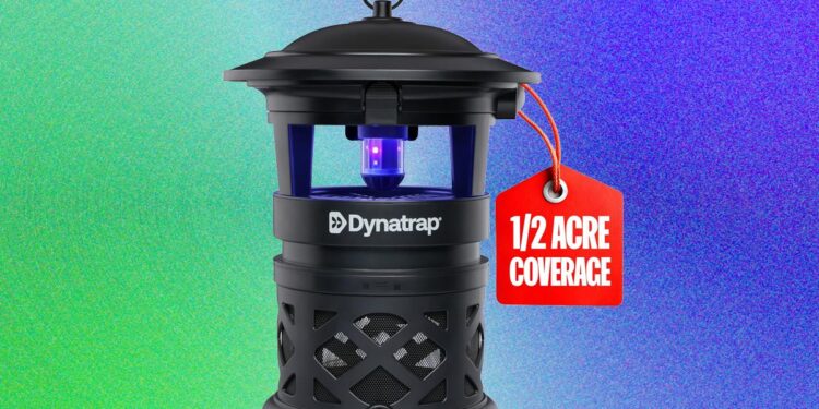 Best Mosquito Repellents for Your Yard: What Works and What Doesn’t (2026)