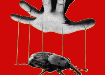 The PHP Meltdown Shows How AI Makes Bugs More Exploitable