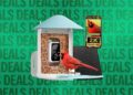 Best Early Black Friday Smart Bird Feeder Deals (2026)