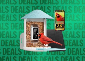 Best Early Black Friday Smart Bird Feeder Deals (2026)