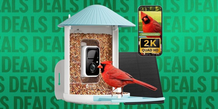 Best Early Black Friday Smart Bird Feeder Deals (2026)