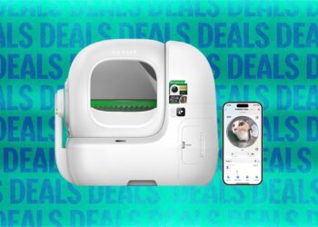 Petkit Automatic Cat Litter Box Sale (2026)