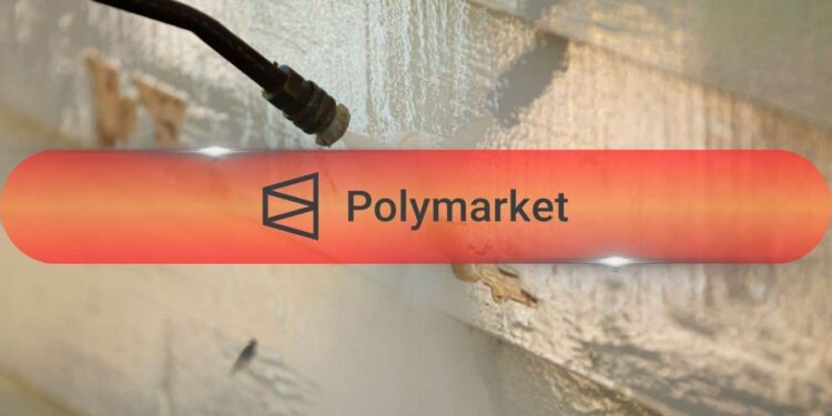 Galaxy Finds 7 in 10 Polymarket Retail Traders Lost Money