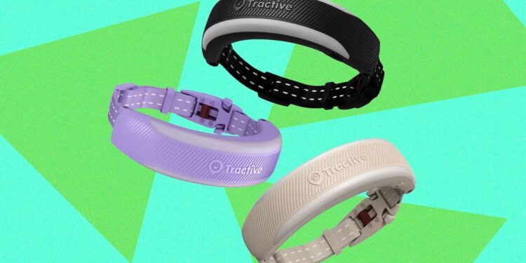 Tractive Cat 6 Mini Review: A Fitbit for Your Cat