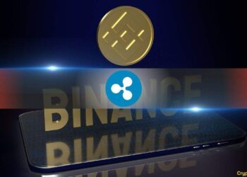 XRP Whales Are Making a Bigger Mark on Binance as Outflow Gap Nears August Levels