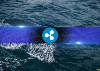 XRP Whales Now Control 68.5% of Supply, Highest Level Since 2022