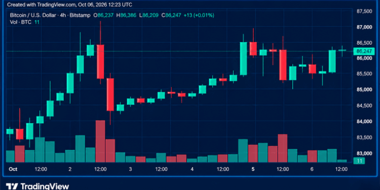 Bitcoin Price Pounds the $87K Wall as Bulls Refuse to Back Down