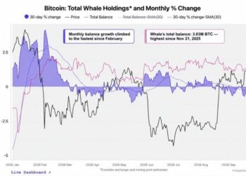 Cryptoquant Says Bitcoin Whales Are Back as a Mystery Buyer Grabs $97M
