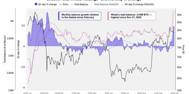 Cryptoquant Says Bitcoin Whales Are Back as a Mystery Buyer Grabs $97M