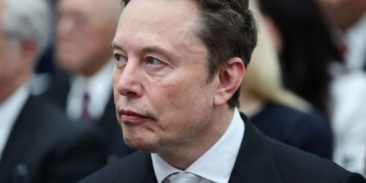 TikTok restores Musk documentary account, says why it was suspended