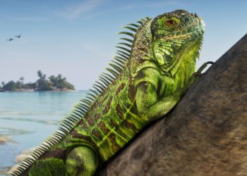 GTA 6 file size reportedly revealed and its gargantuan