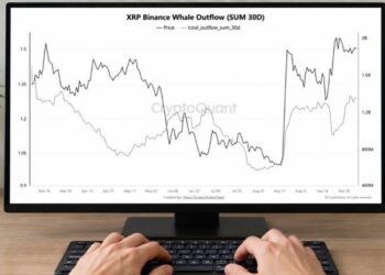 XRP Whale Transfers off Binance Reach Highest Level in 7 Months