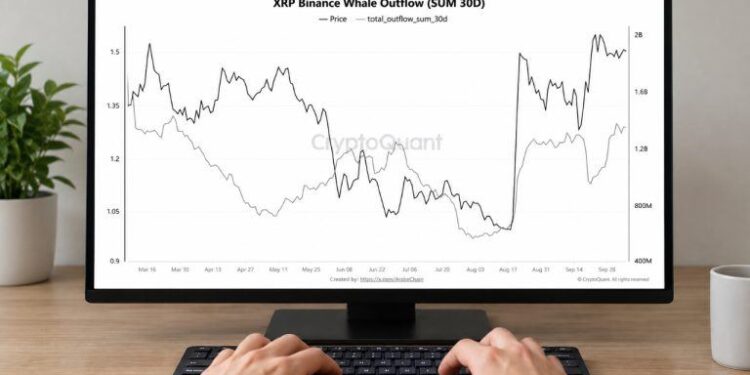 XRP Whale Transfers off Binance Reach Highest Level in 7 Months