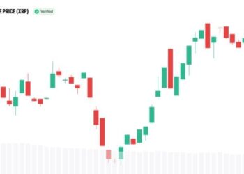 Why XRP Appeals to Institutional Investors, Bitwise CIO Explains